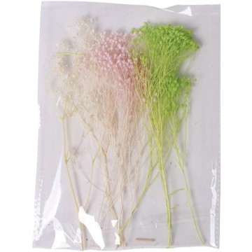 BROOMS NATURAL TRICOLOR...