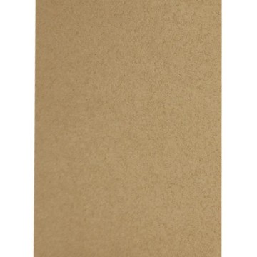 CARTULINA 25,4X18 CM. 210...