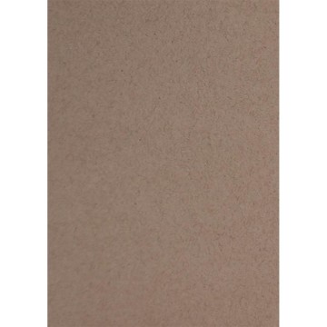 CARTULINA 25,4X18 CM. 210...