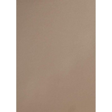 CARTULINA 25,4X18 CM. 216...