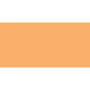 W&N BRUSH MARKER APRICOT...
