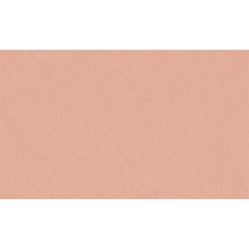 CARTULINA PASTEL 47x63,5cm....