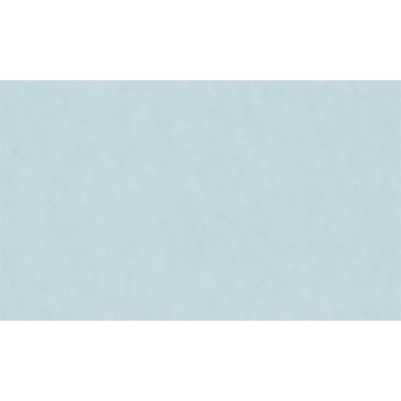 CARTULINA PASTEL 47x63,5cm....