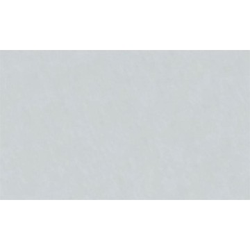 CARTULINA PASTEL 47x63,5cm....