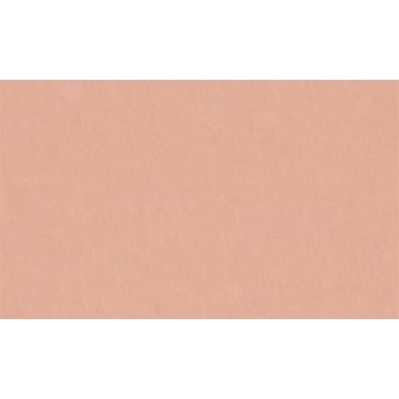 CARTULINA PASTEL 12x12''...