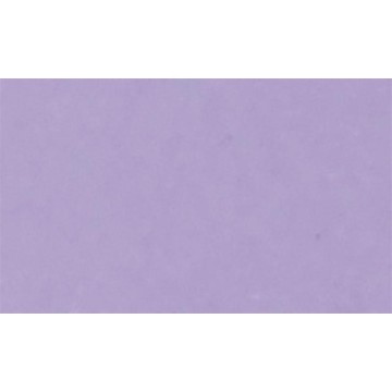 CARTULINA PASTEL 12x12''...