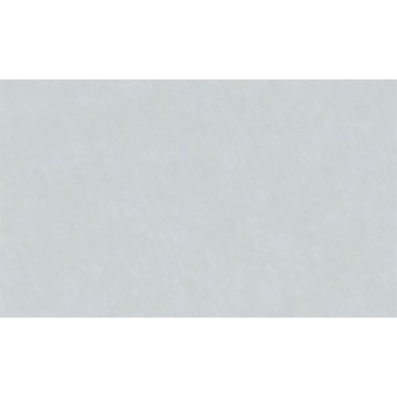 CARTULINA PASTEL 12x12''...