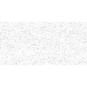 SETACOLOR TRANSP.45ML.Nº204...