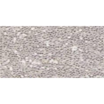 SETACOLOR TRANSP.45ML.Nº209...