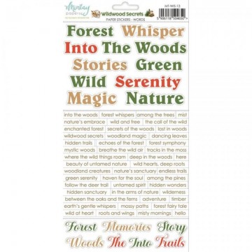 MT-WIS-13 MINTAY PAPER...
