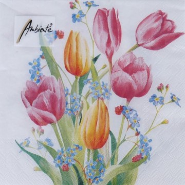 SERVILLETA 33x33cm. 20und....