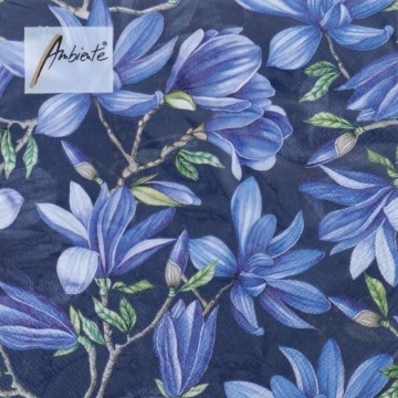SERVILLETA 33x33cm. 20und....