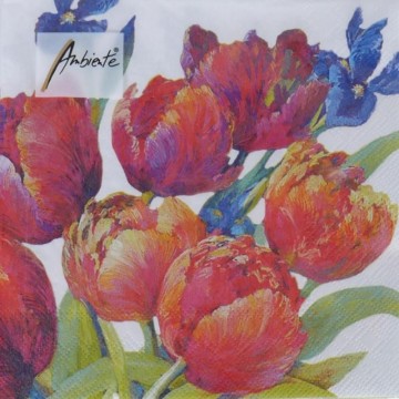 SERVILLETA 33x33cm. 20und....