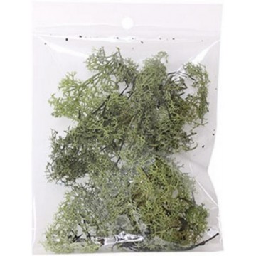 MUSGO NATURAL VERDE BOLSA...