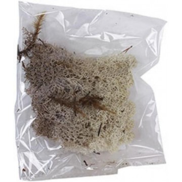 MUSGO NATURAL BLANCO BOLSA...