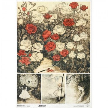 R1466L PAPEL ARROZ DEC. ITD...