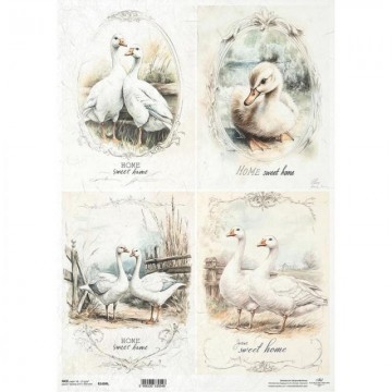 R1404L PAPEL ARROZ DEC. ITD...