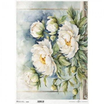R1299L PAPEL ARROZ DEC. ITD...