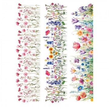 TRANSFER UV PREMIUM L...