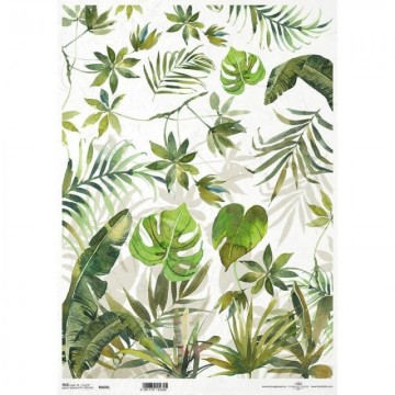 R0603L PAPEL ARROZ DEC. ITD...