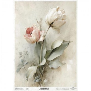 R2834 PAPEL ARROZ DEC. ITD...
