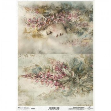 R2693 PAPEL ARROZ DEC. ITD...