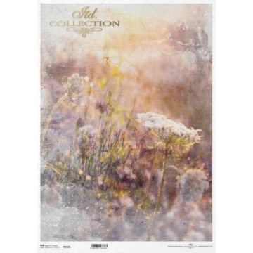 R0728L PAPEL ARROZ DEC. ITD...