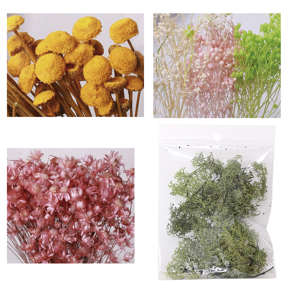 MUSGO-FLORES SECAS